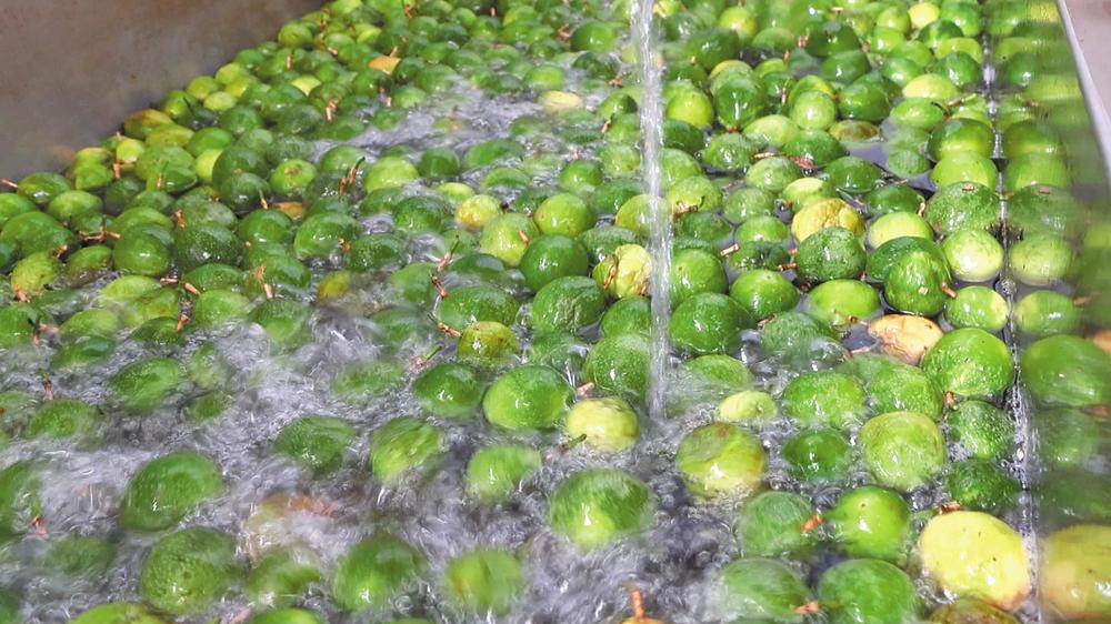 微信图片_20260212082215_543_251