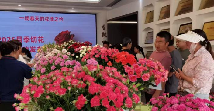 微信图片_20260212083459_546_251