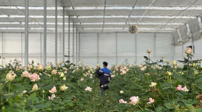 微信图片_20260212083636_547_251