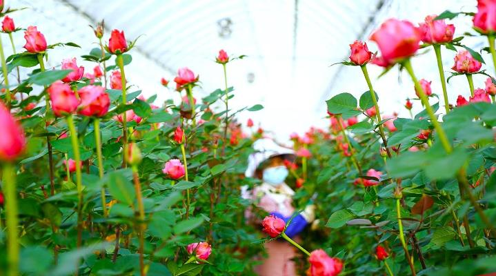 微信图片_20260212083754_548_251