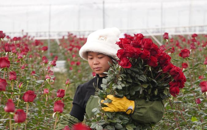 微信图片_20260212083934_549_251