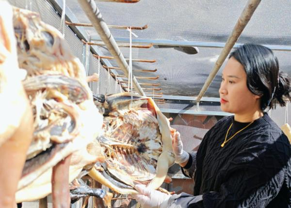 微信图片_20260216090159_578_251