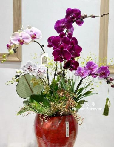 微信图片_20260217102142_31_42