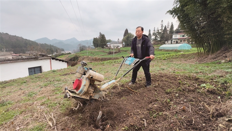 【新春走基层·走进贵州】峰岩村：跟着农艺师去下乡