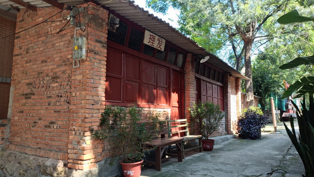 绿汁镇内的特色场景