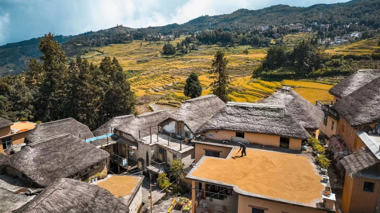 2023年丰收节阿者科长街宴 图片来源红河文旅 (1)