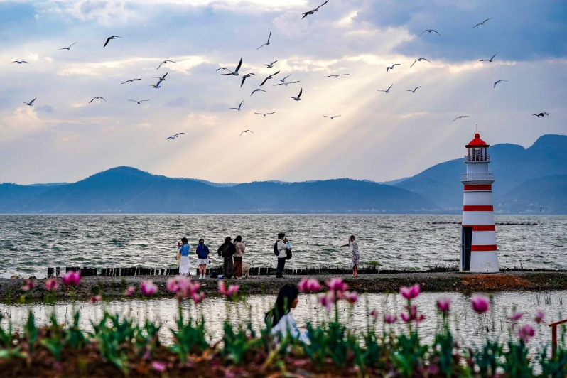 春日滇池引客来