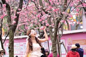 在花海中留个影