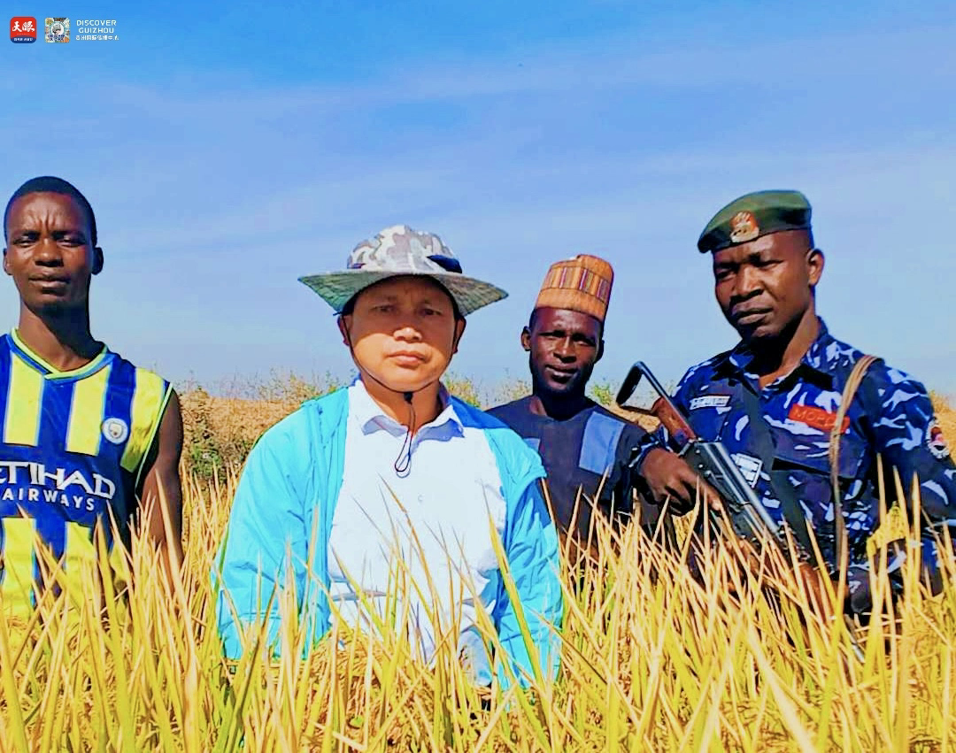 17726184309429.jpg IMG_1647.jpg