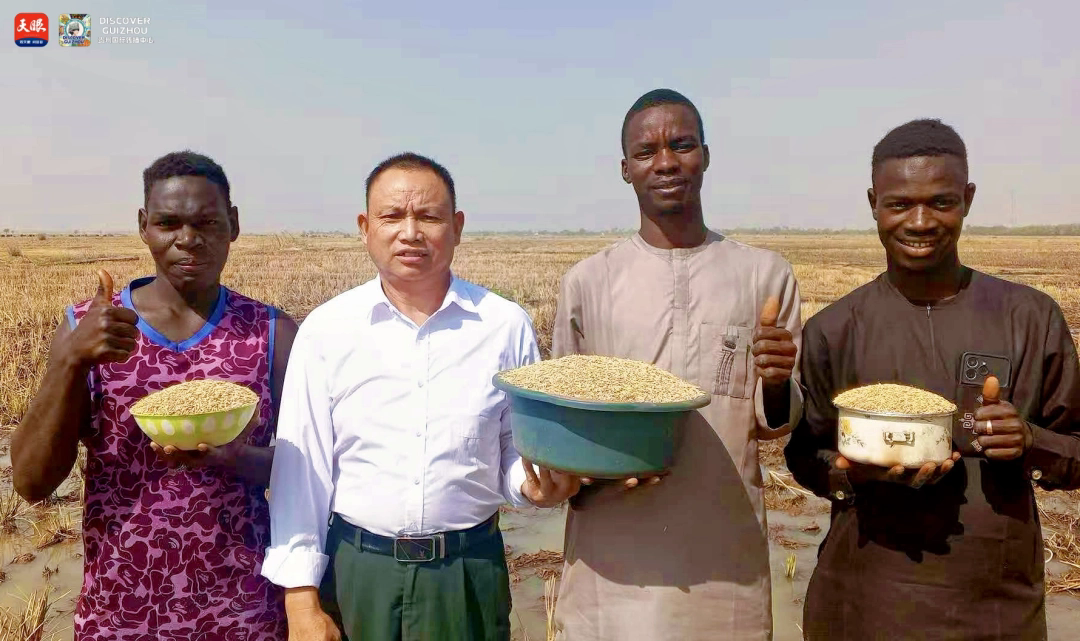 17726186023416.jpg IMG_1654.jpg