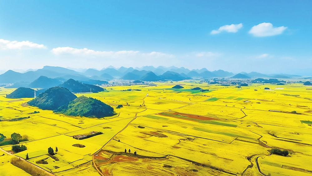 微信图片_20260310081850_317_158