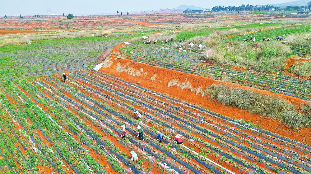 微信图片_20260310082436_318_158