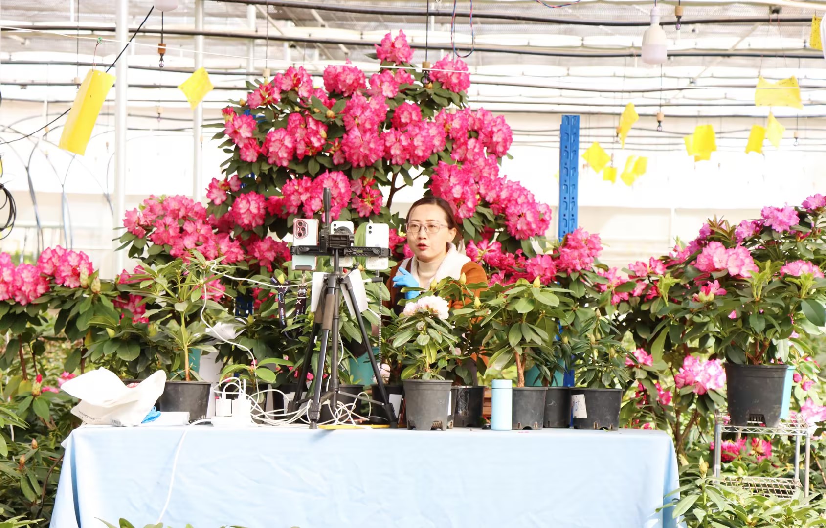 963c63a0b818053a7e19ec5035fc05f4_compress