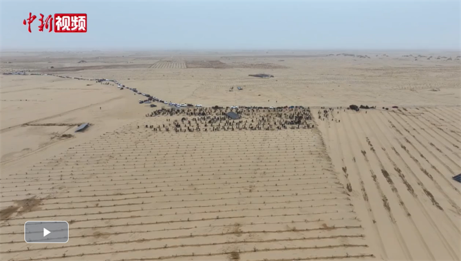 QQ20260313-212609 QQ20260313-212609