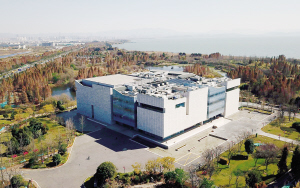 81401773939695107 81401773939695107