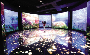 47581773939695029 47581773939695029