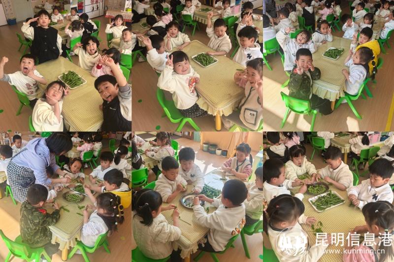 42cb3946f120c4dedcce443909cdf234 42cb3946f120c4dedcce443909cdf234