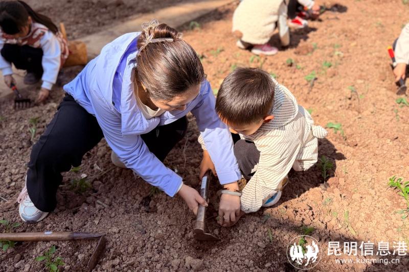 c3a3cfcbdf11e1c282b920047ddbc46f c3a3cfcbdf11e1c282b920047ddbc46f