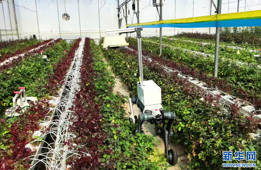 24c85a01dc324b478bc4403d9bc1c553