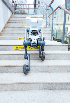 28901774198881336 28901774198881336