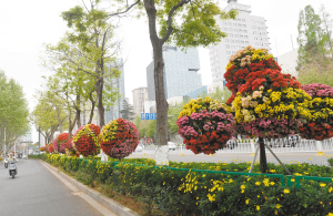 32251774549645274 32251774549645274