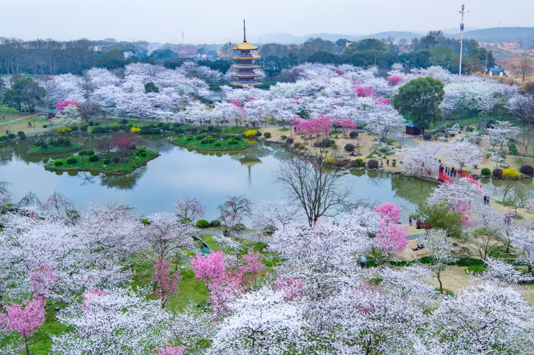 W020260326690098941283