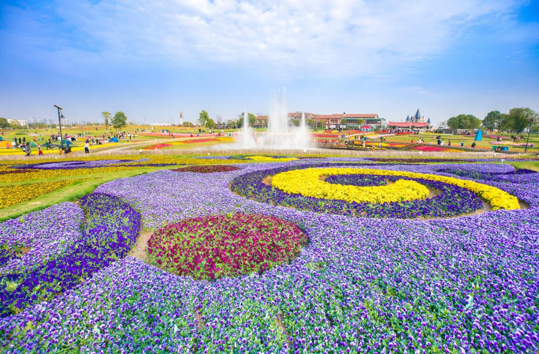 W020260326690099065408