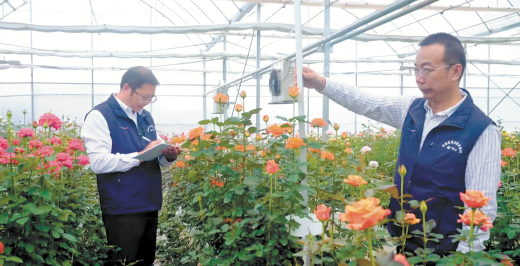 全国经济作物产业科技示范“样板间”在昆启动