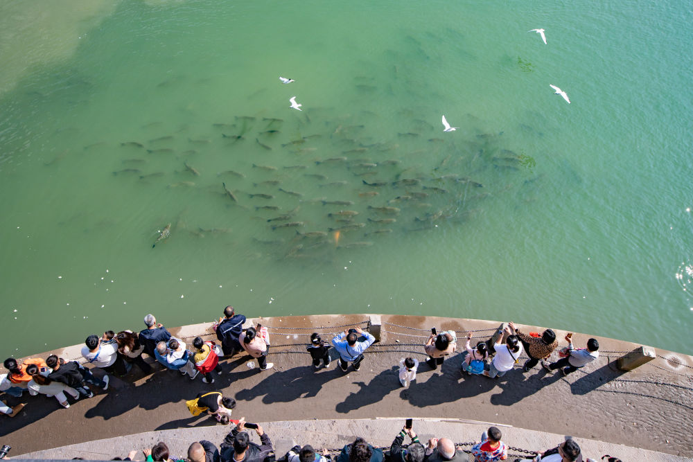 XxjdzbC000097_20260401_CBMFN0A005