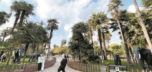 瑞象落翠湖 春城添新景