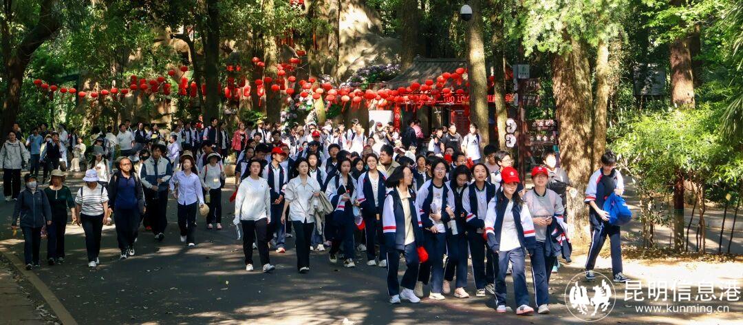 e50567291cc8e25a840d6655ab9c994e