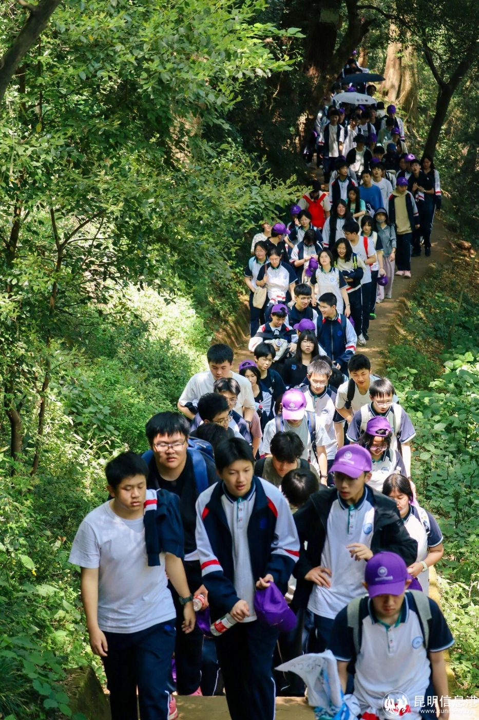 df818771ea33be38ff8b0816137e4f23