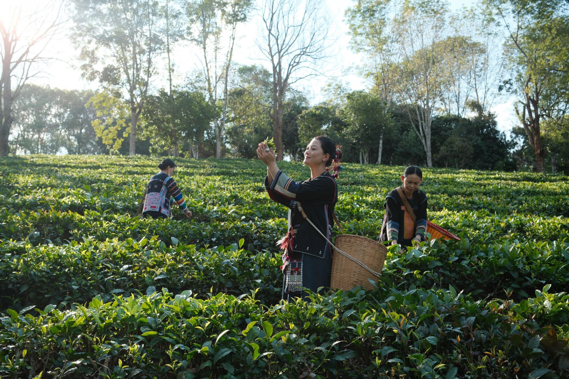 8d18dfa14e58767e503c012bfaeab41e 8d18dfa14e58767e503c012bfaeab41e