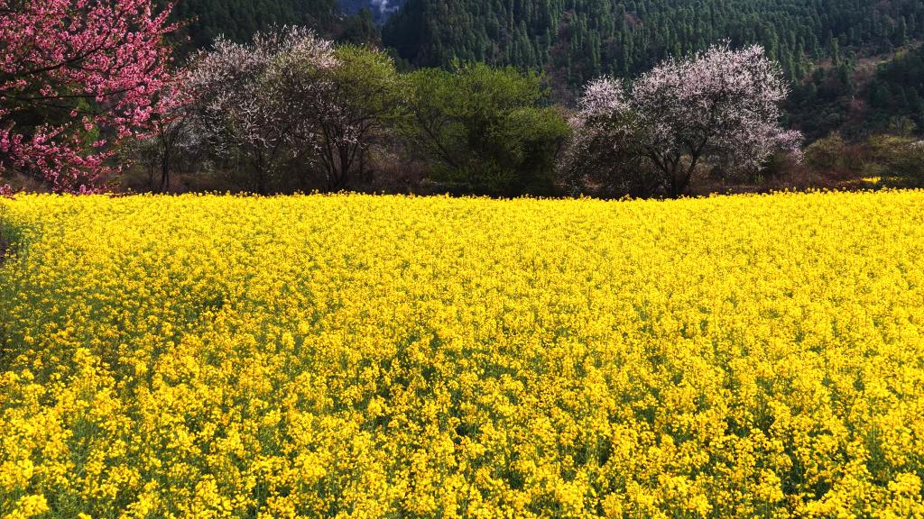 20260410b7208c253e6e48db8cbf72bf6a88e2e4_b926a812ca484b9abee6d5c5f8985bd2 20260410b7208c253e6e48db8cbf72bf6a88e2e4_b926a812ca484b9abee6d5c5f8985bd2