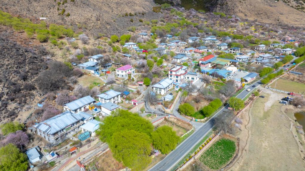 20260410b7208c253e6e48db8cbf72bf6a88e2e4_52be57471c0a48a6b862f369a6250ccf 20260410b7208c253e6e48db8cbf72bf6a88e2e4_52be57471c0a48a6b862f369a6250ccf