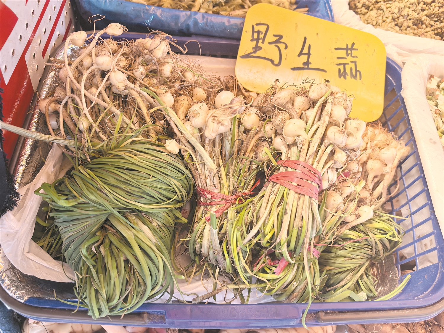 6fd7a088ba0f15568b2e21eacdf4af3e 6fd7a088ba0f15568b2e21eacdf4af3e