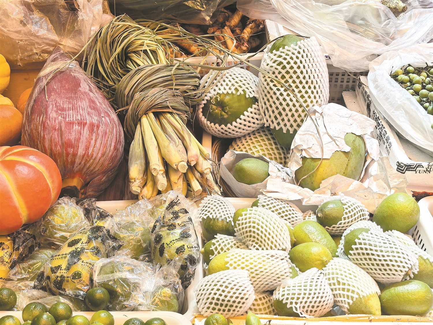 8e9b4c7cc7ad64d17878b40b93fd478a 8e9b4c7cc7ad64d17878b40b93fd478a