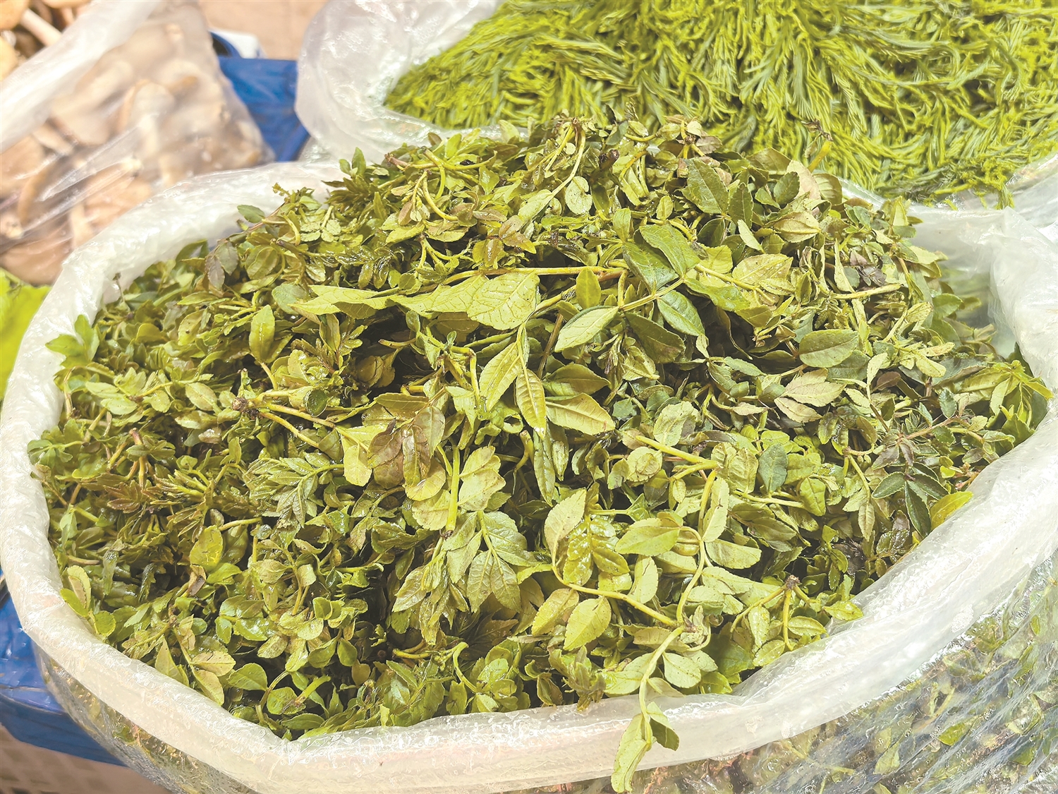 ff7191ca4ca6fa3938afcdc52fa5e4a6 ff7191ca4ca6fa3938afcdc52fa5e4a6