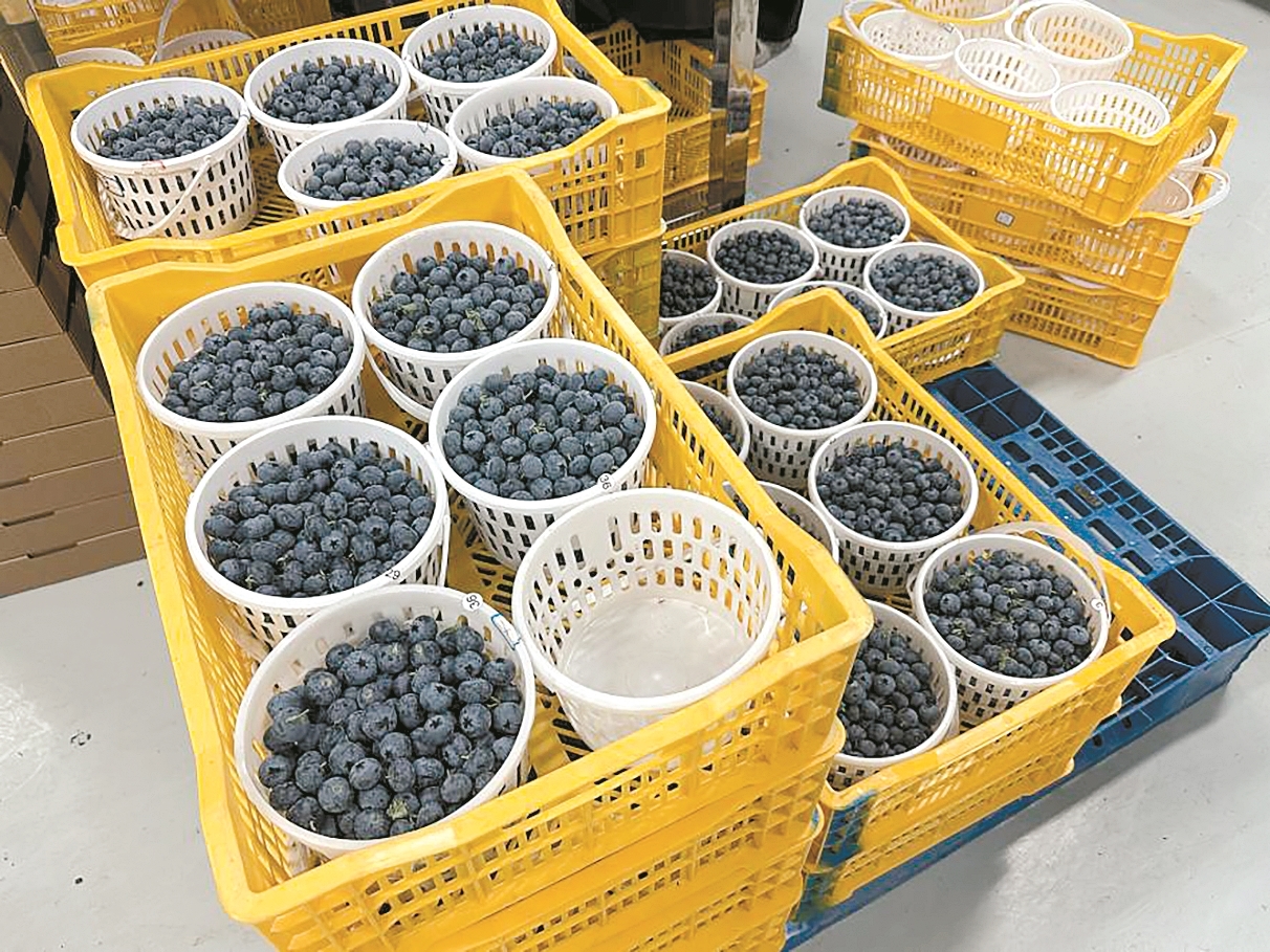 1689fb2cb08c0ddbf32656987aa33fcb 1689fb2cb08c0ddbf32656987aa33fcb