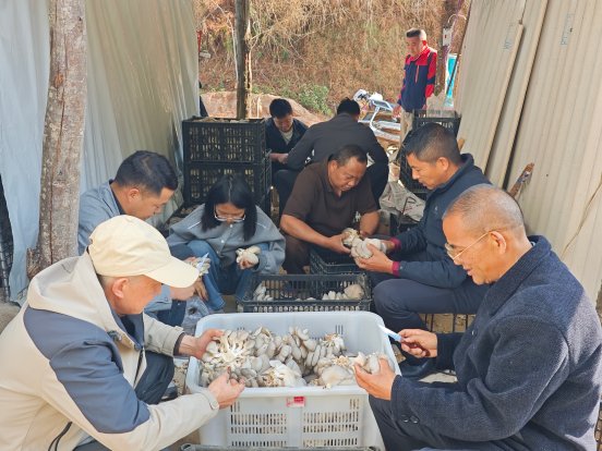 2bdcc8234b92a61b18d0e367ca6f6e99