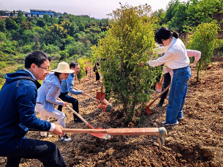 植树活动现场。活动主办方供图