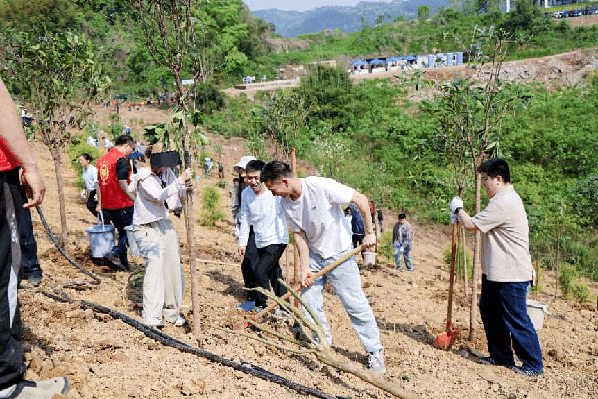 植树活动现场 。活动主办方供图