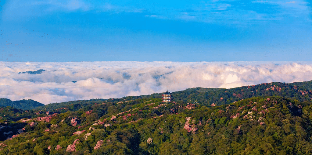 重庆生态建设成效显著。北碚区林业局供图