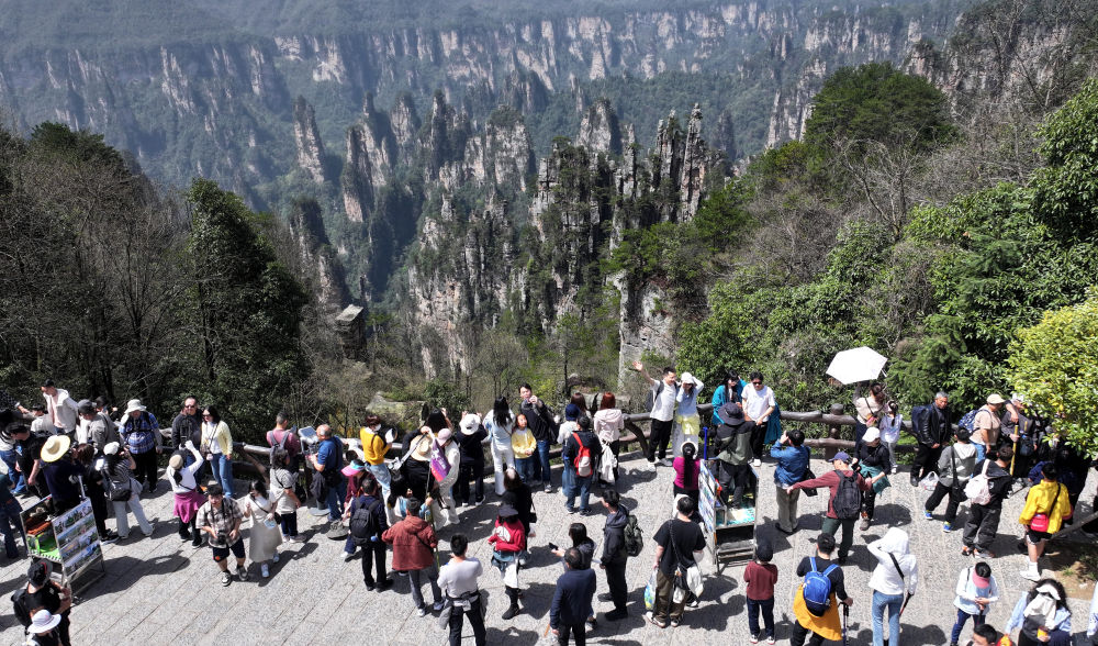 XxjdzbC000087_20260417_CBMFN0A001