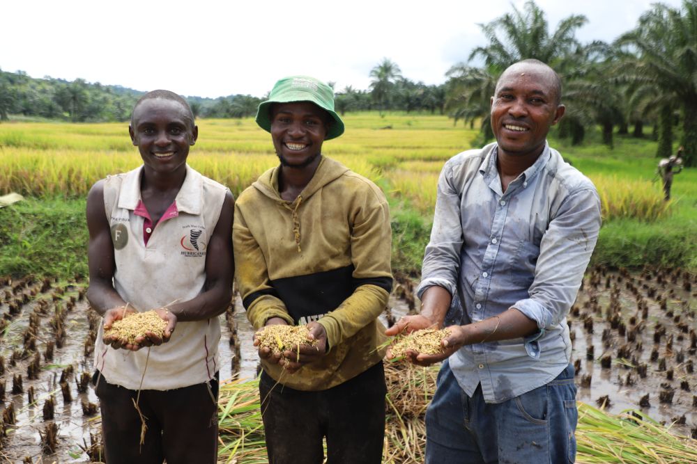 XxjinmC000003_20260420_CBMFN0A002