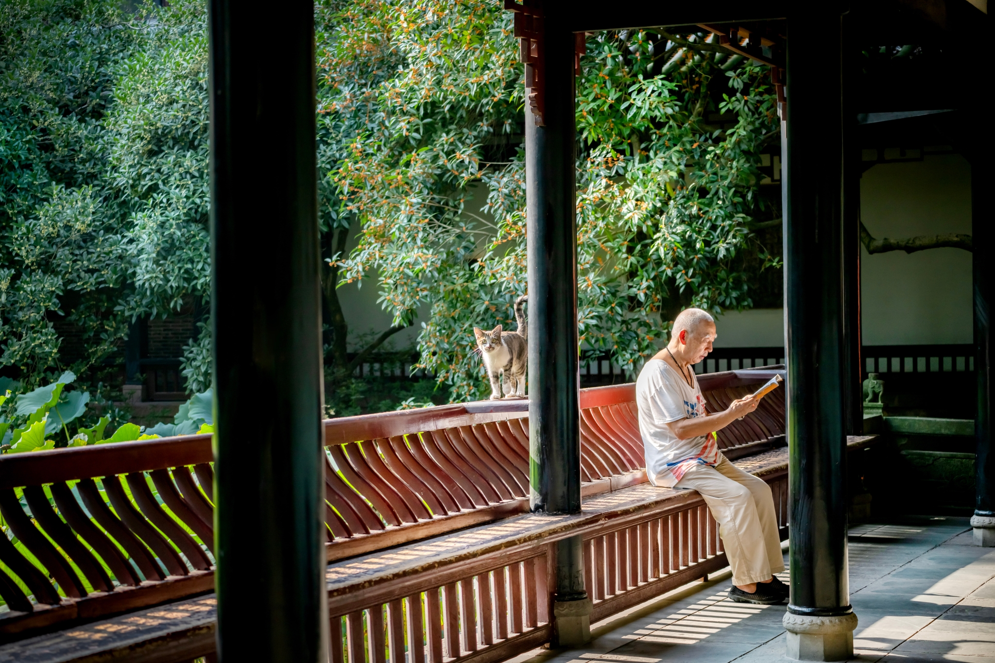 《伴读》周巧旻 摄