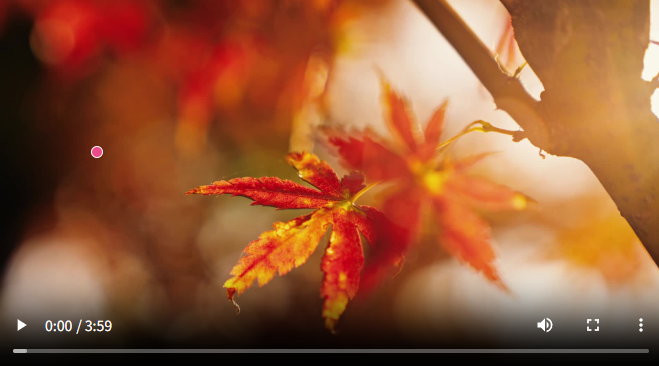 ScreenShot_2026-04-21_203322_931