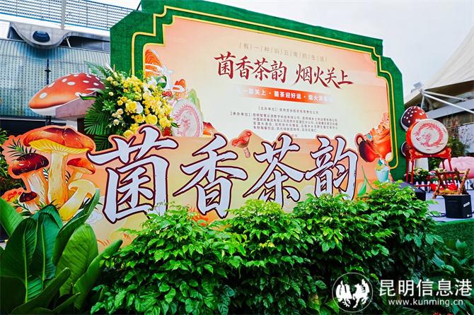 7M400707-opq4556166234