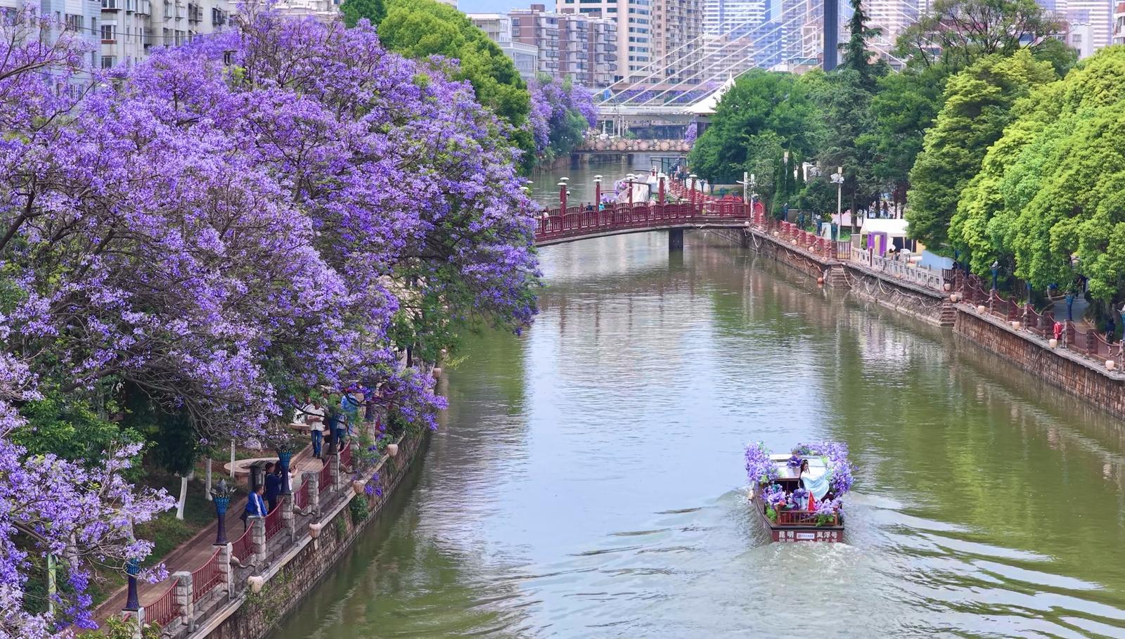 盘龙江 (1).jpg