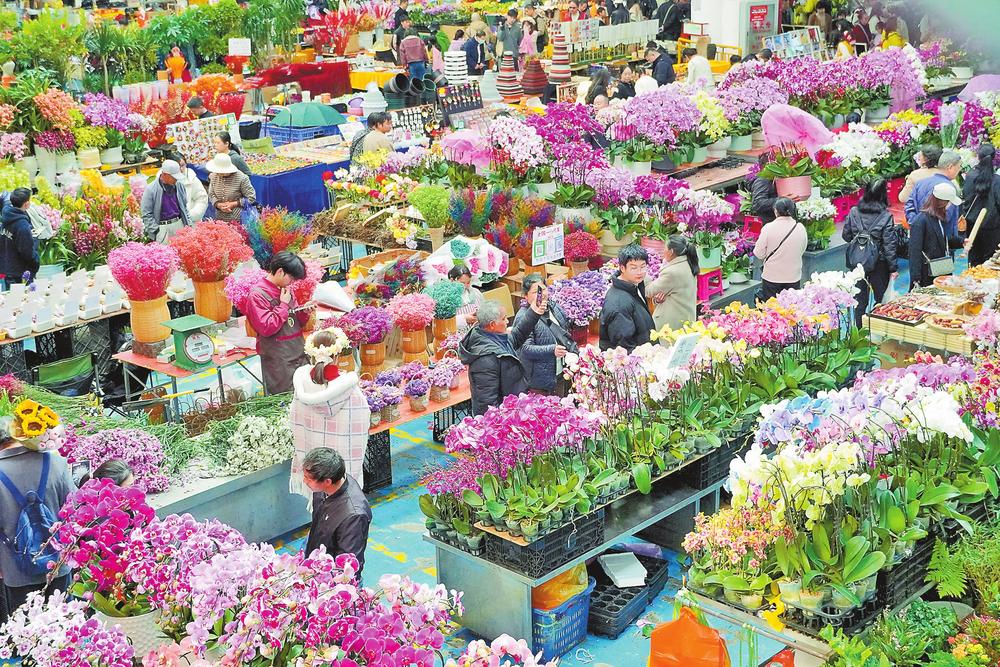 斗南鲜切花市场发布4月销售榜单 多头玫瑰“橙色芭比”销量居首